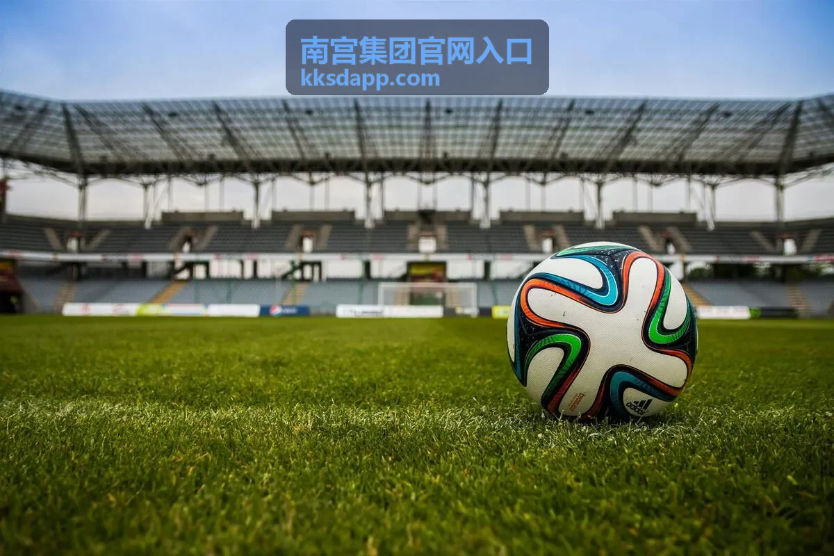 南宫集团官网入口投资与资产运营板块