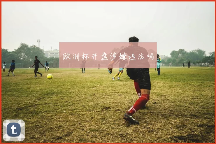 欧洲杯开盘涉嫌违法吗