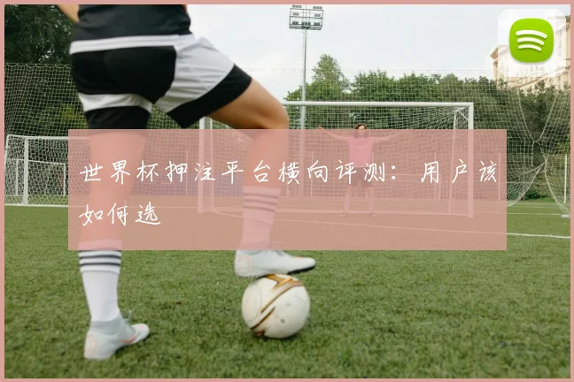 世界杯押注平台横向评测：用户该如何选